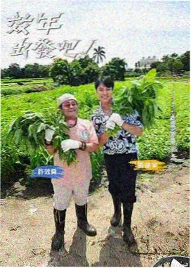 认识的哥哥 韩国综艺合集